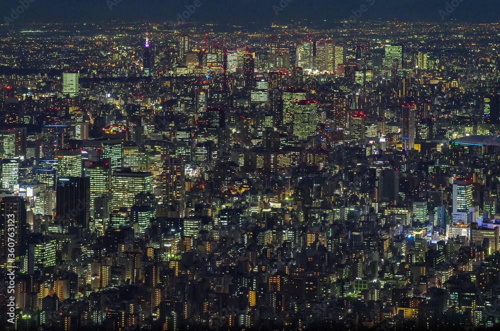 Naklejka premium Tokyo city at night, the vast metropolis spreads out to the horizon as viewed from the Skytower
