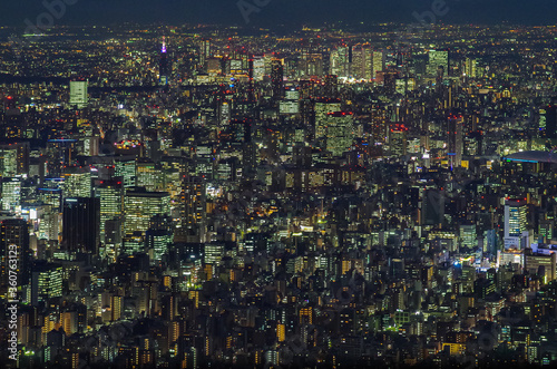 Tokyo city at night, the vast metropolis spreads out to the horizon as viewed from the Skytower