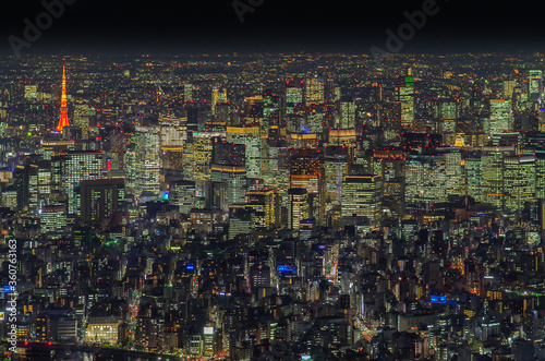 Tokyo city at night  the vast metropolis  spreads out  to the horizon as viewed from the Skytower