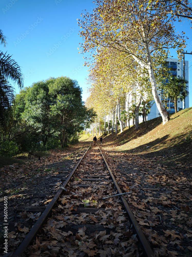 Fototapeta premium Trilhos de trem