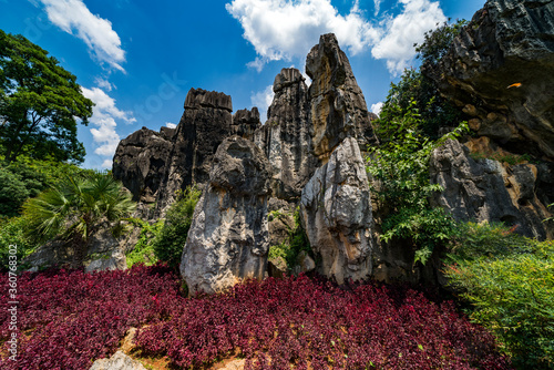 Stone forest in Kunming county, China photo