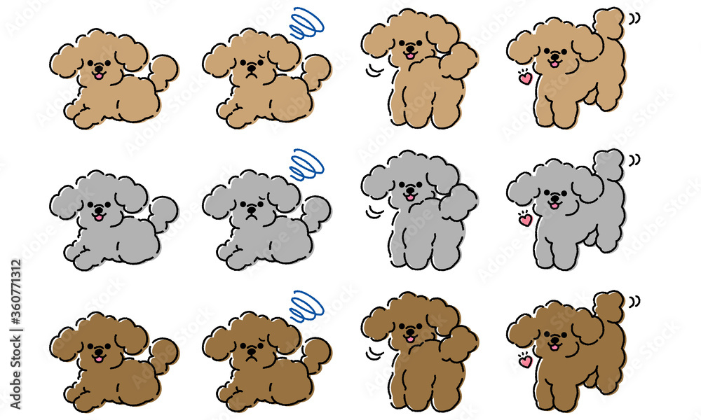 テディベアカットのトイプードル イラストセット ベクター Stock Vector Adobe Stock