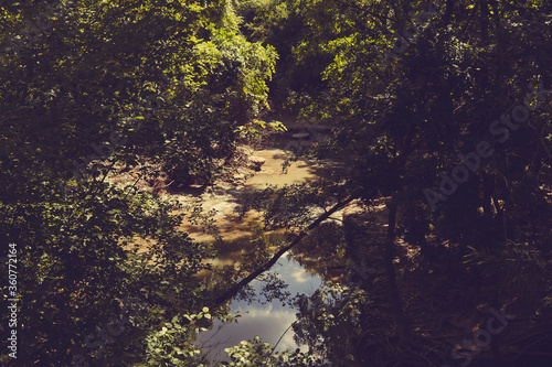 Forest River on a summer day in a Texas nature reserve.