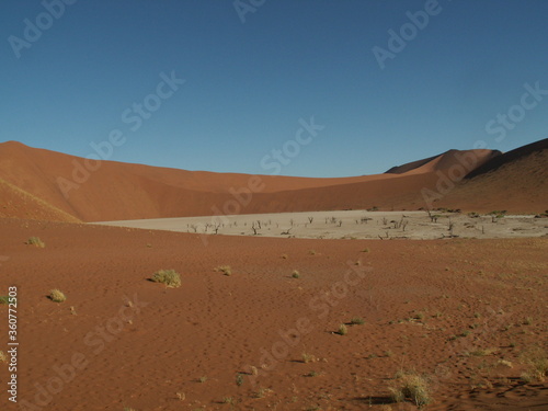Dead water hole surrounded by red sand dunes