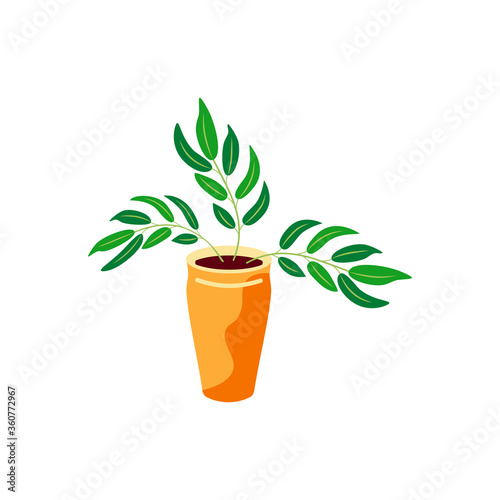 Potted plant for urban jungle, green home decor. Flat cartoon style design. Vector illustration isolated on white background.