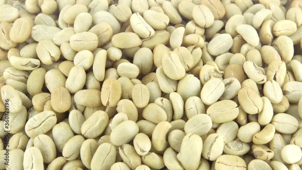 coffee beans rotation onthe white background top view coffee beans rotation onthe white background top view
