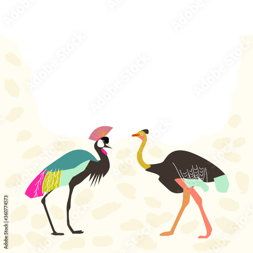 African Birds