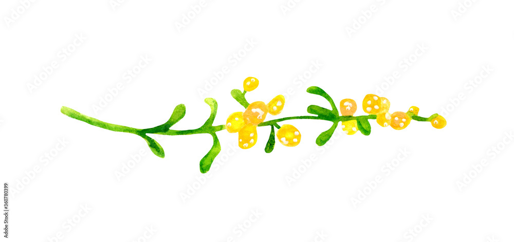 Abstract spring flowers for festive decoration and design. Bright children`s, watercolor illustration, clipart on a white background. Yellow, green plants.