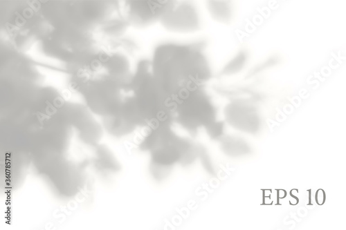 Transparent natural plant shadow. Light effect overlay. Mesh grid. Presentation your design card, poster, stories Photo realistic illustration