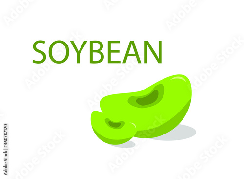 soybeans drawing and inscription in cartoon and flat style, soybean fruit vector graphic, beans on an isolated background