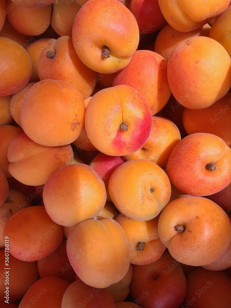 fresh apricots at the market fresh apricots at the market