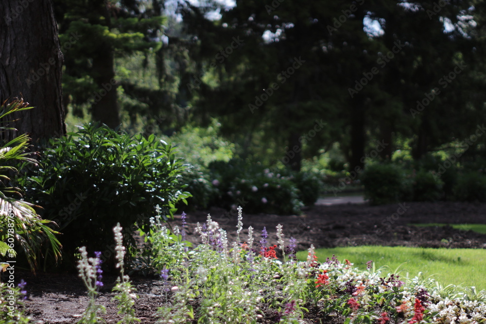 landscape shots of the outdoor garden