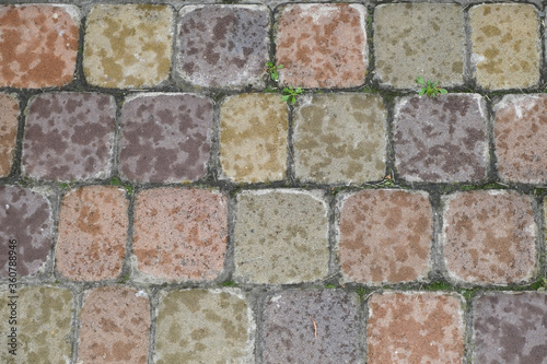 Wallpaper Mural Stone braids with water drops, close up shot Torontodigital.ca