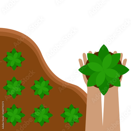Hands holding sapling in soil surface,Vector illustration