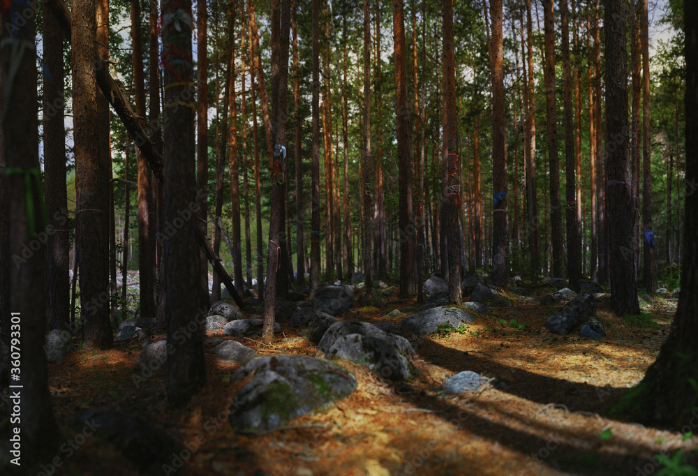 panoramic landscape in the forest. the concept of unity with the nature of meditation and tranquility.