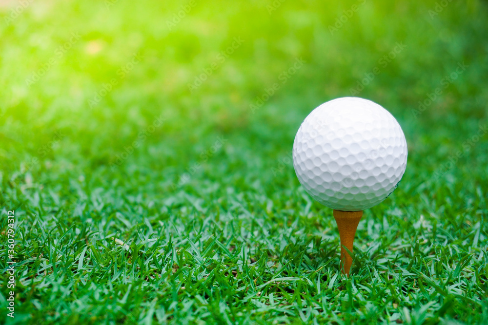 Green grass with golf ball close-up in soft focus at sunlight. Sport playground for golf club concept ,Golf ball on tee ready to be shot Green grass with golf ball close-up in soft focus at sunlight. Sport playground for golf club concept ,Golf ball on tee ready to be shot