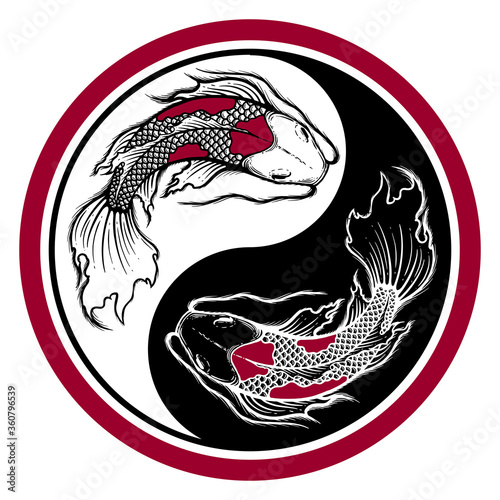 Ying yang symbol of harmony and balance. Hand drawn outline Koi fish vector illustration, tattoo design, japan style, line art ink work, animal wildlife.