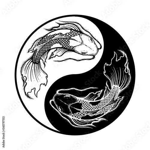 Ying yang symbol of harmony and balance. Hand drawn outline Koi fish vector illustration, tattoo design, japan style, line art ink work, animal wildlife.