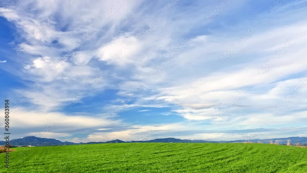 Green grass and moving clouds under blue sky, time-lapse, beautiful rural scene Green grass and moving clouds under blue sky, time-lapse, beautiful rural scene