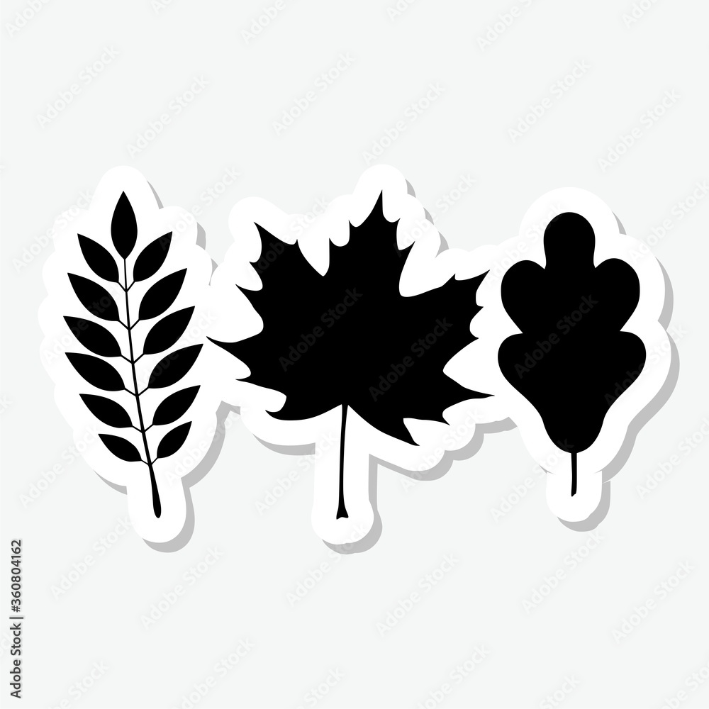 Leaf sticker Icon isolated on gray background Leaf sticker Icon isolated on gray background