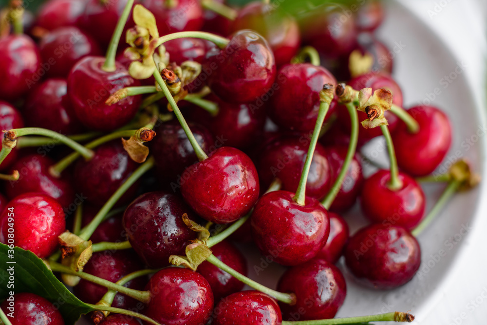 Fresh delicious red bright cherry berries torn in the summer garden Fresh delicious red bright cherry berries torn in the summer garden