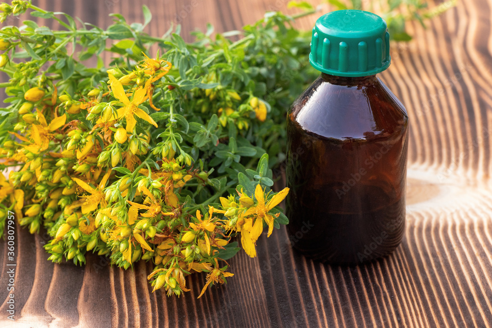Bubble with medicine from St. John's wort. Hypericum - St Johns wort plants yellow flower used in alternative medicine. Medicinal herbs Hypericum for Homeopathic Remedies Bubble with medicine from St. John's wort. Hypericum - St Johns wort plants yellow flower used in alternative medicine. Medicinal herbs Hypericum for Homeopathic Remedies