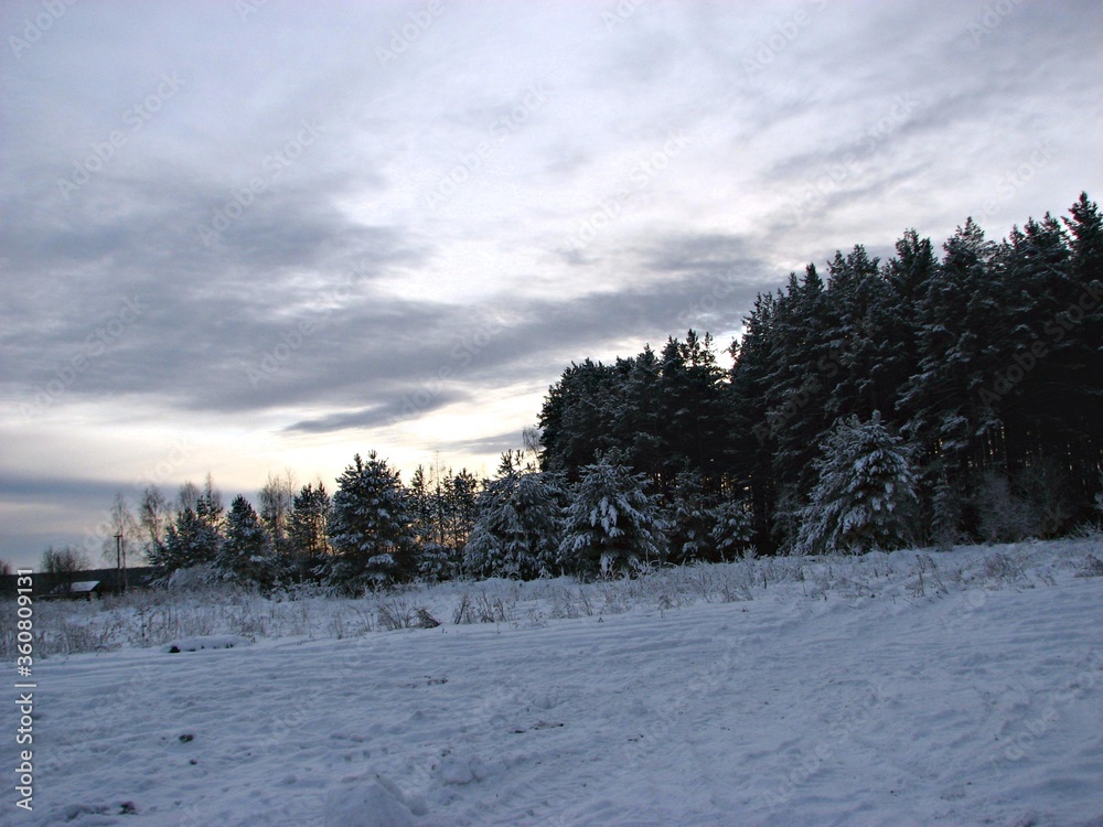 Snow-covered winter Ural forest at sunset