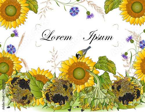 A postcard on a summer theme. Sunflowers, sunflower seeds, meadow grasses, cornflowers, wheat ears, tit on a white background.