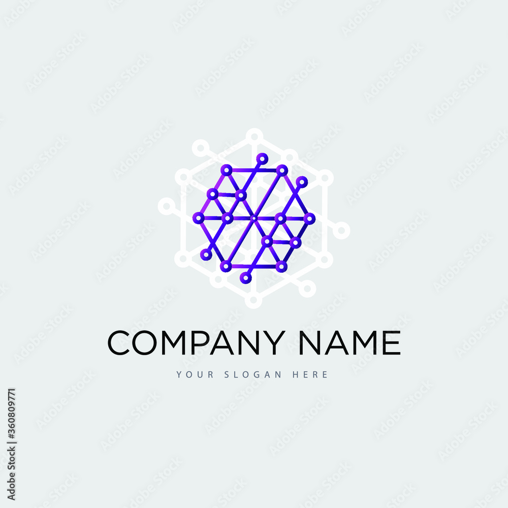 Fototapeta premium Networking and computer logo