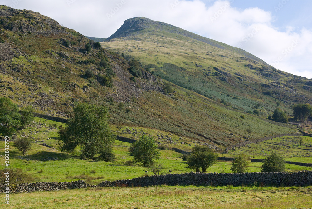 Hillside in the Lake District area of cumbria, England, showing typical features of the landscape such as dry stone walls, scree slopes and moorland vegetation.