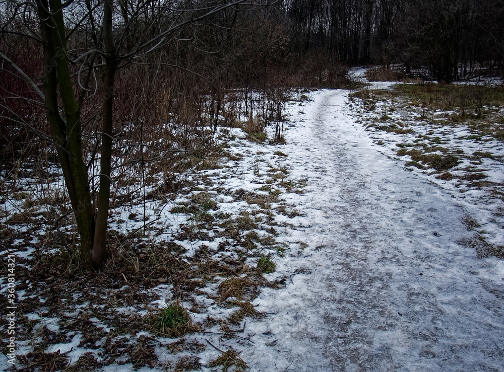 Obraz premium path through the little snow forest, Moscow