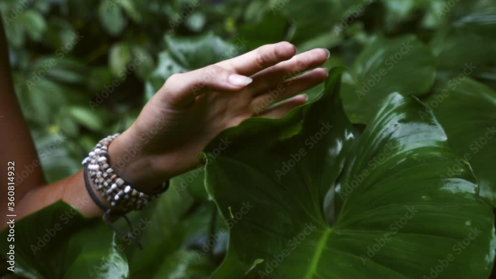Female Tourist Travels Through Lush Bali Jungle, Hand Closeup Shot Female Tourist Travels Through Lush Bali Jungle, Hand Closeup Shot