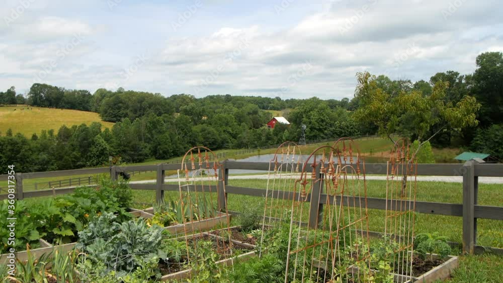 Garden area on working farm.  Wide view. Features rustic trellises, raised bed garden and fence. In the background, a pond, red barn and wind spinner. Outdoors, cloudy day.