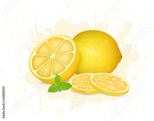 lemon vector illustration with lemon pieces and min leaves