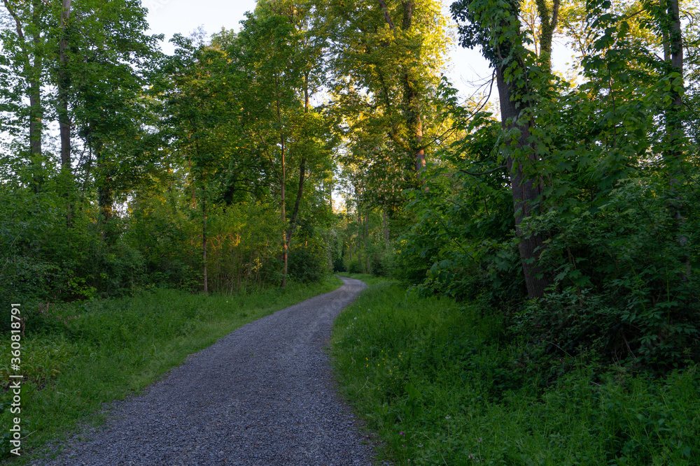 Kiesweg in Parklandschaft