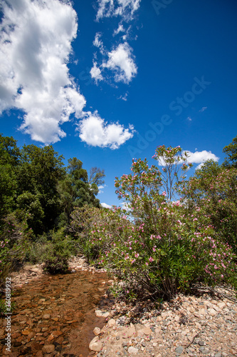 Sardegna naturale