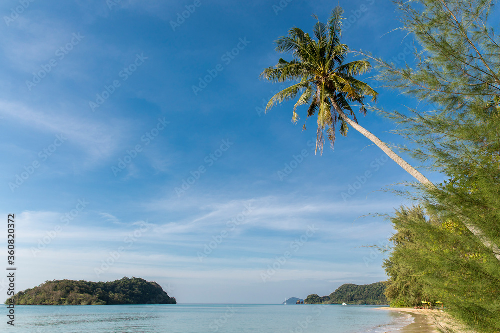 palm trees on the beach, Koh Mak beach, Koh Mak Island , Thailand.