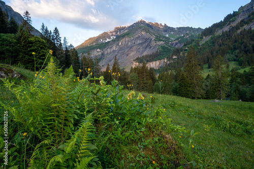 Weistannental in der Schweiz