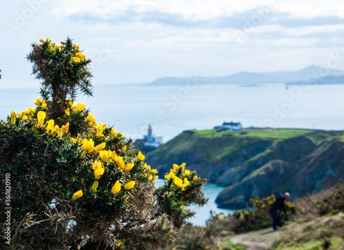 Canvas Print Mesmerizing view of the Baily Lighthouse in Dublin, Ireland