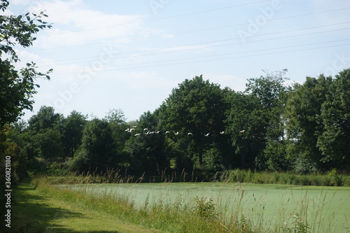 Nature - bayern - DonauRies - Germany - Landschaft photo