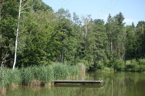 Nature - bayern - DonauRies - Germany - Landschaft photo