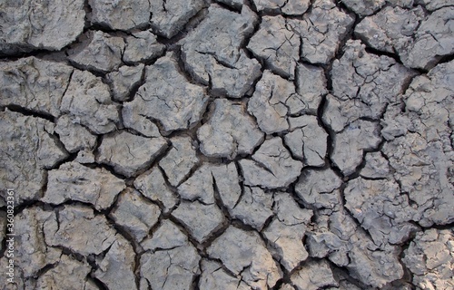 Dried grey cracked earth background during drought with splits in soil