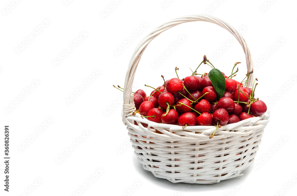 Cherry Berries in White Goat Cherry Berries in White Goat