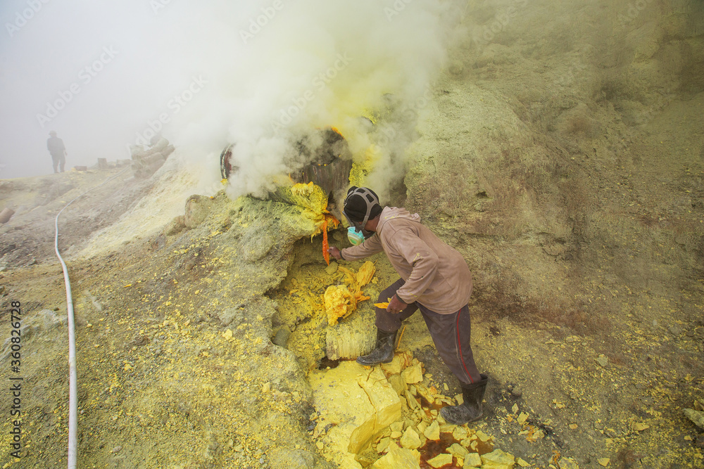 Obraz premium People mining sulphur in Ijen volcano, Java , Indonesia