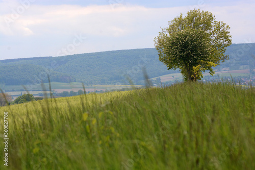 walk throuh the Region of Hanover photo