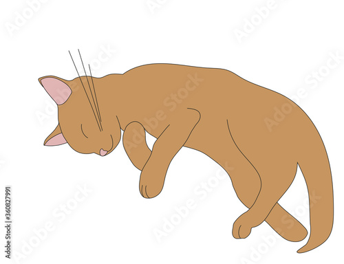Red cute cat vector illustration isolated on white background. Can be used as advertising, sticker, logo, icon.