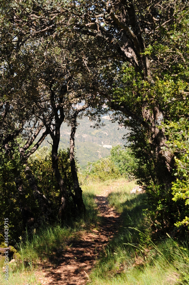 Sentier de pèlerin Sentier de pèlerin