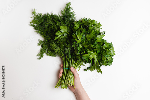 .Bunches of dill and parsley in a children's hand on a white background. Ingredients for seasoning dishes.
