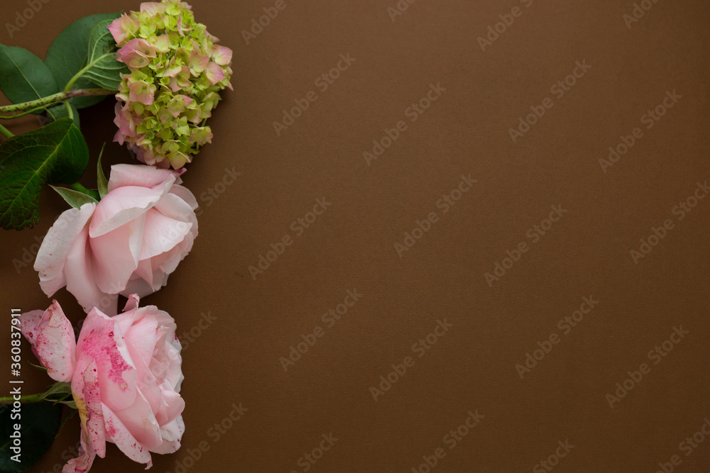 Fototapeta premium Floral mock up. Pink roses frame isolated on brown background with copy space.