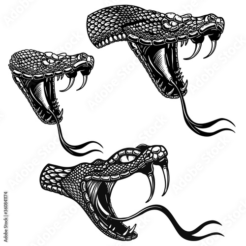 Set of illustrations of heads of poisonous snake in engraving style. Design element for logo, label, sign, poster, t shirt. Vector illustration